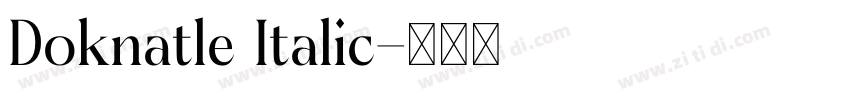 Doknatle Italic字体转换